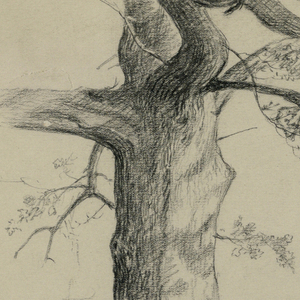 Drawing (USA)