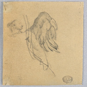 Drawing (USA)