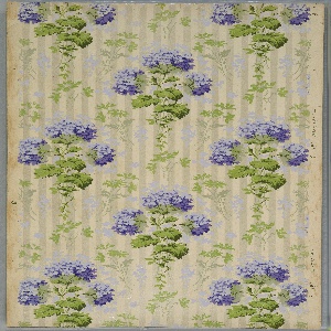 Sidewall (USA), 1875–1925