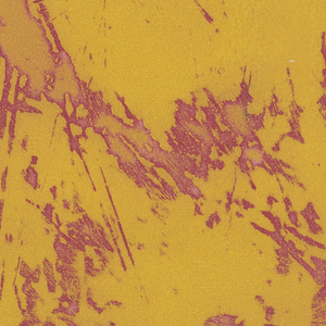 Print (USA)
