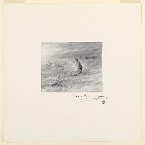 Reproduction (USA)