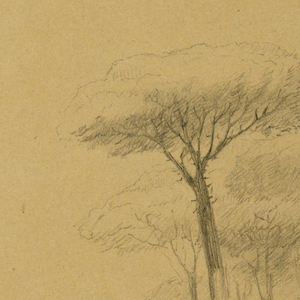 Drawing (USA)