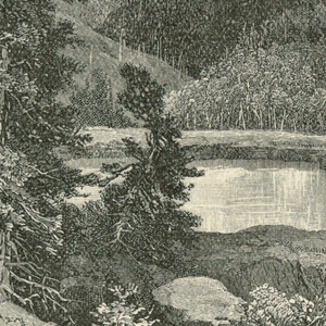 Print (England and United States)