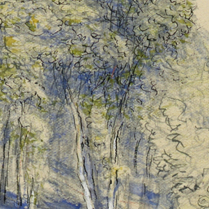 Drawing, Studies. Maple Grove, Greensboro, Vt., August 26, 1916