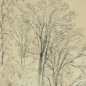 Drawing (USA)