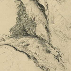 Drawing (USA)