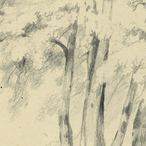 Drawing (USA)