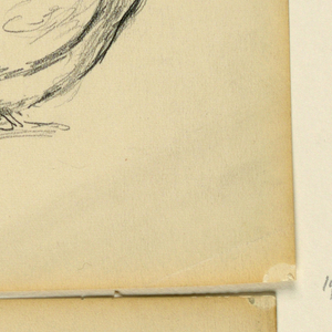 Drawing (USA)