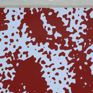 Sidewall, Lizard Skin Enlarged 100x, ca. 1990–95