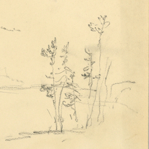 Drawing (USA)