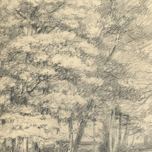 Drawing (USA)
