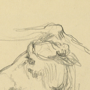 Drawing (USA)