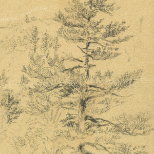 Drawing (USA)