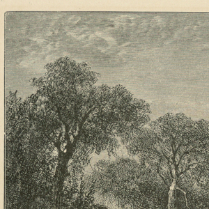 Print (England and United States)