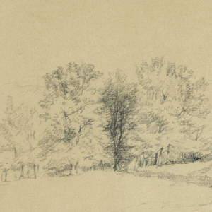 Drawing (USA)