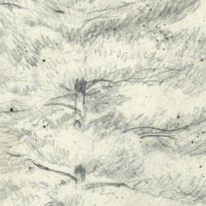 Drawing (USA)