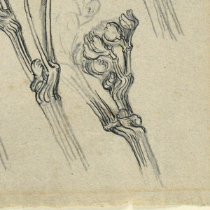 Drawing (USA)