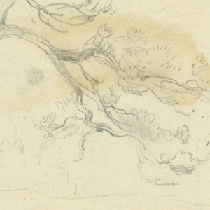 Drawing (USA)