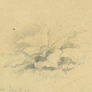 Drawing, Three Sketches