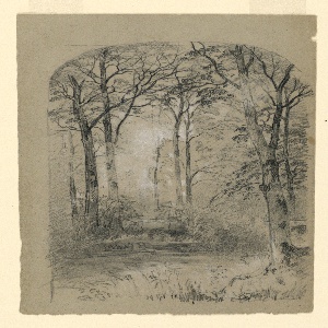 Drawing, Woodland Study, 1865–70