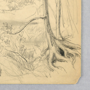 Drawing (USA)