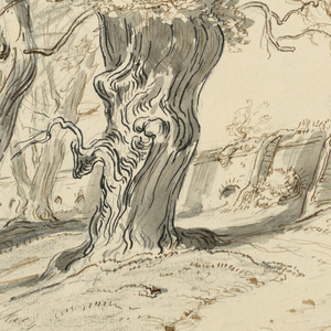 Drawing, Study for The Cypress Trees of Montezuma, Park of Chapultepec, Mexico, 1892