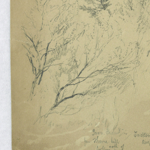 Drawing (USA)