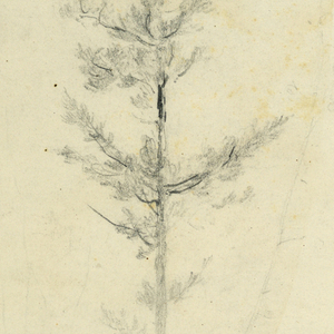 Drawing (USA)