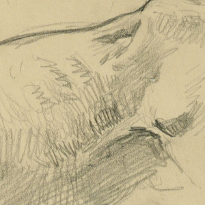 Drawing (USA)