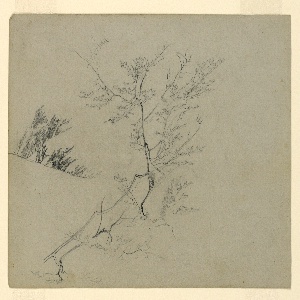 Drawing (USA)
