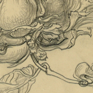Drawing (USA)