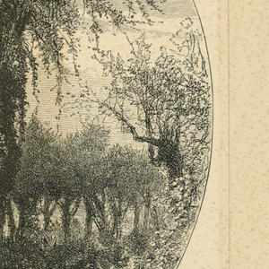 Print (England and United States)