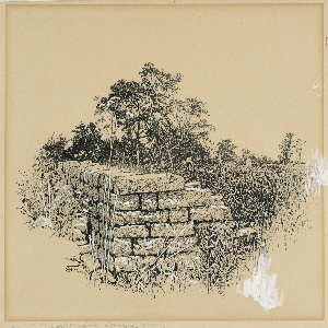 Drawing (USA)