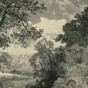 Print (England and United States)