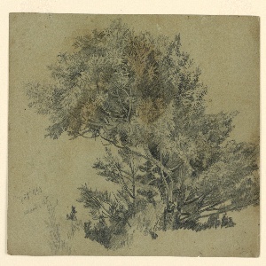 Drawing (USA)