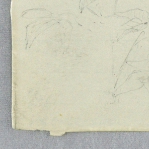 Drawing (USA)