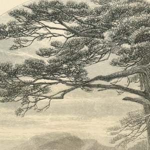 Print (England and United States)