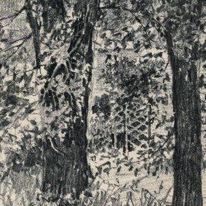 Drawing, Point Lookout, 1883