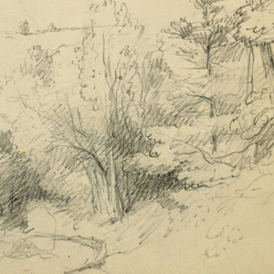 Drawing (USA)