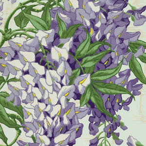 Sidewall (USA), 1890–1920