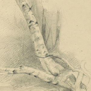 Drawing (USA)