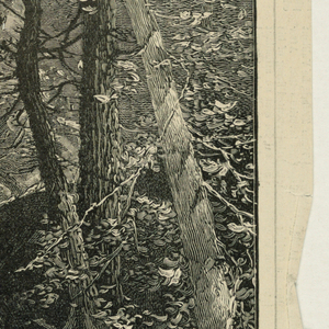 Print (England and United States)