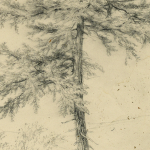 Drawing (USA)