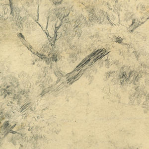 Drawing (USA)