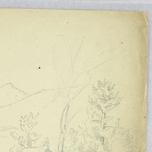 Drawing (USA)