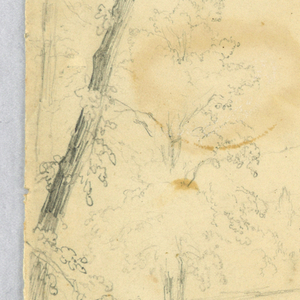 Drawing (USA)