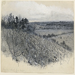 Drawing (USA)