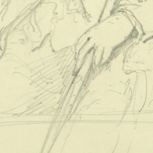 Drawing (USA)