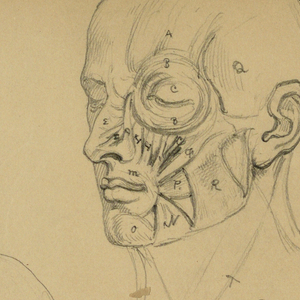 Drawing (USA)