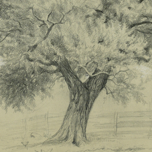 Drawing (USA)